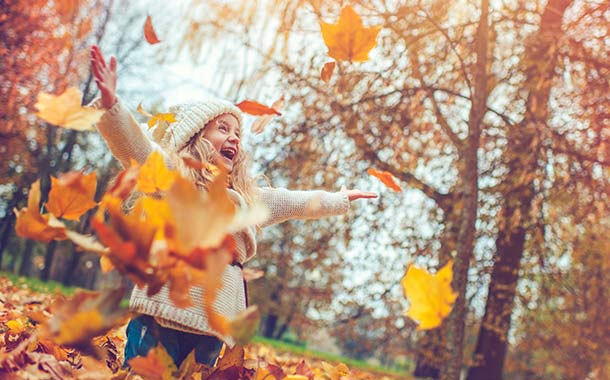 autumn autumn