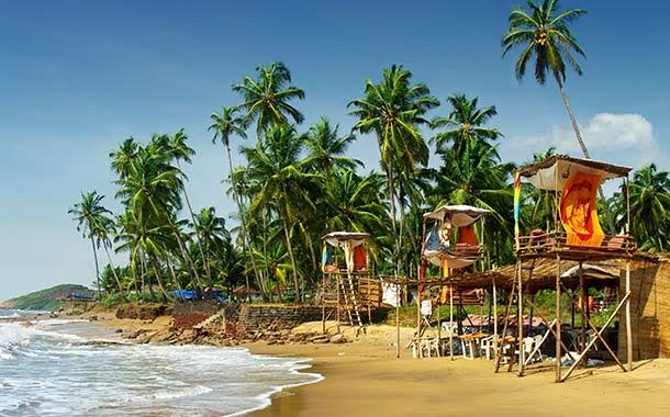 Goa Goa