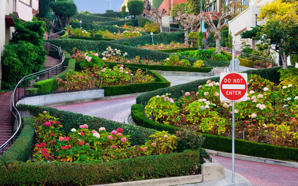 lombard-street-in-san-francisco lombard-street-in-san-francisco