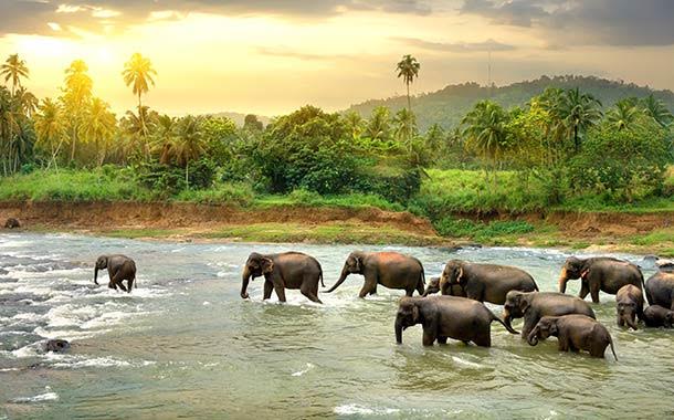 Sri Lanka Sri Lanka
